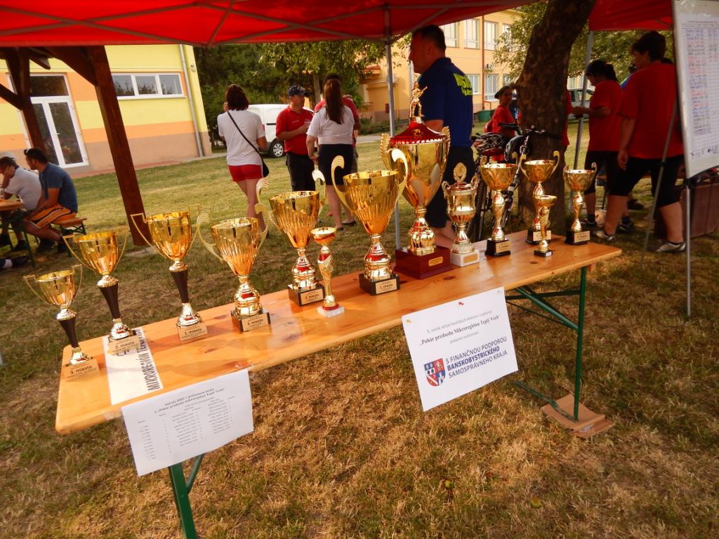 Fotogaléria O pohár predsedu mikroregiónu (13) O pohár predsedu mikroregiónu